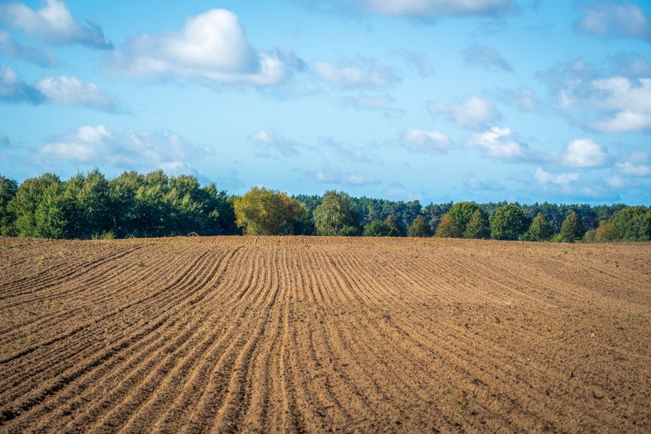 Freshly plowed field with clear blue sky and distant trees